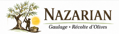 Nazarian — Gaulage et récolte d’olives